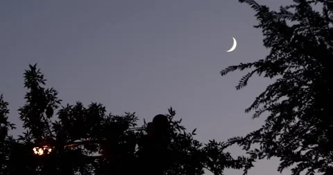 The new moon in the sky 1 Video stock 332174889