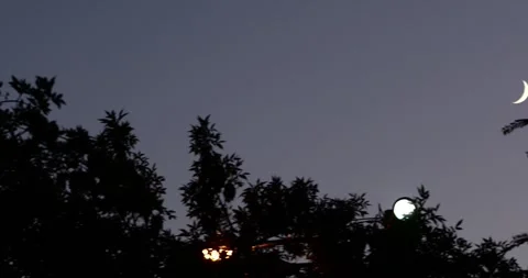 The new moon in the sky 2 Video stock 332174861
