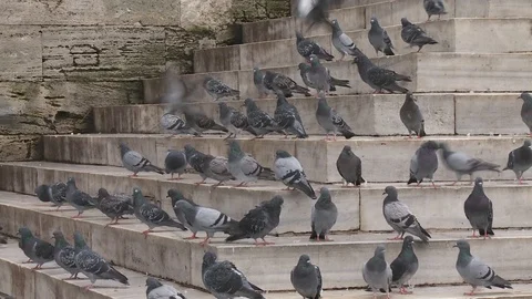New mosque and crowded place in Eminonu, Turkey istanbul 2015 Video stock 128952867