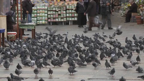 New mosque and crowded place in Eminonu, Turkey istanbul 2015 Stock Footage 128952935