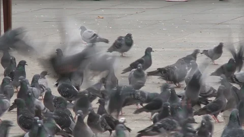 New mosque and crowded place in Eminonu, Turkey istanbul 2015 Stock Footage 128952953
