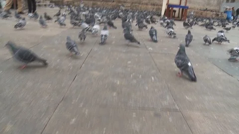 New mosque and crowded place in Eminonu, Turkey istanbul 2015 Stock Footage 128953015
