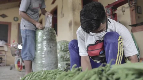 New normal activity of vegetable seller Stock Footage 143383166