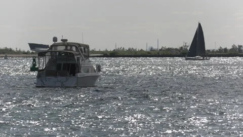 New normal post COVID with crowds of tourists and people in Toronto city 스톡 동영상 158901724