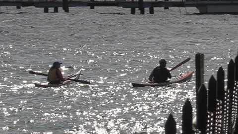 New normal post COVID with crowds of tourists and people in Toronto city 스톡 동영상 158939761