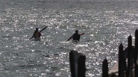 New normal post COVID with crowds of tourists and people in Toronto city Vídeo Stock 158940454