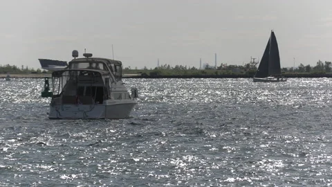 New normal post COVID with crowds of tourists and people in Toronto city Vídeo Stock 158954553