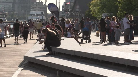 New normal post COVID with crowds of tourists and people in Toronto city Vídeo Stock 158973591