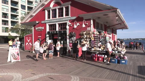 New normal post COVID with crowds of tourists and people in Toronto city Vídeo Stock 159113763