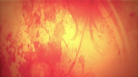 New in Orange Video stock 10882695