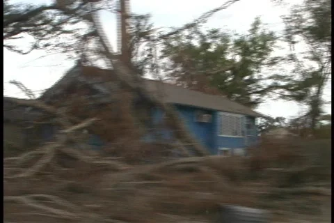 New Orleans  Video stock 62800