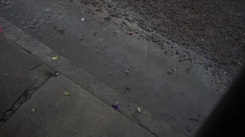 New Orleans Rain puddle_01 Stock Footage 49985269