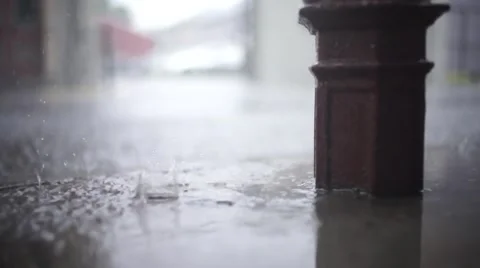 New Orleans Rain puddle_02 Stock Footage 49985320
