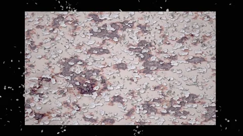 New painted wall changes to decaying old surface. 3d animation 스톡 동영상 130614377