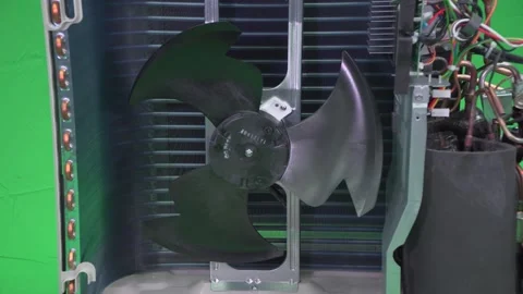 A new particular fan model Stock Footage 143462607