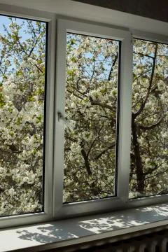 New plastic window overlooking the flowering tree Stock Photos
