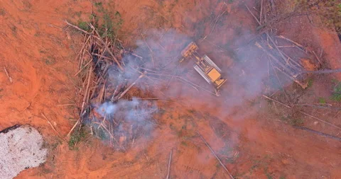 New plot land development for new construction using heavy equipment, bulldozing Stock Footage 205581232