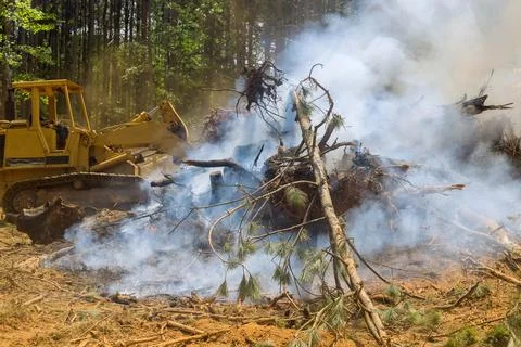 New plot land development for new construction using heavy equipment, bulldozing Stock Photos