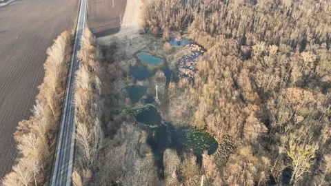 New pond pool swamp created in forest wetland floodplain spring drone Stock Footage 327647995