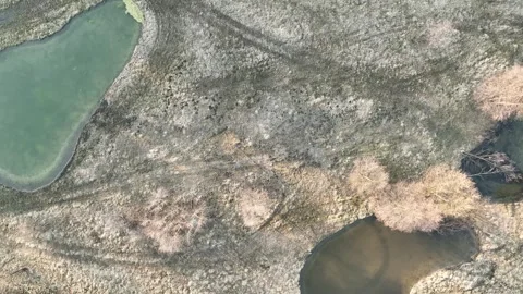 New pond pool swamp created in forest wetland floodplain spring Stock Footage 330606180