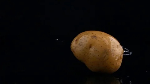New potato isolated on black background 库存影片 121782783