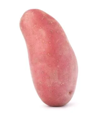 New potato tuber Stock Photos