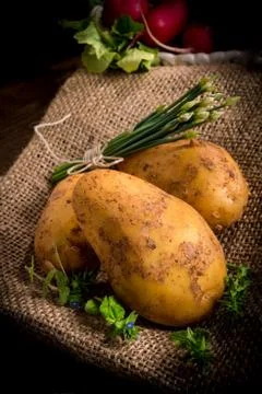 New potatoes Stock Photos