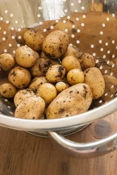 New Potatoes Stock Photos