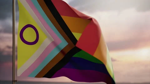 New progress pride (LGBT) flag animation. Gay pride. Sunset and sea. Slow motion Stock Footage 157425430