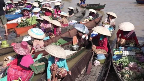 New Project 2 Stock Footage 77071282