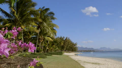 New project Stock Footage 32207498