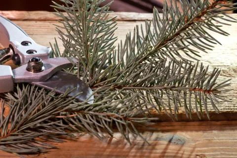 New pruning shears Stock Photos