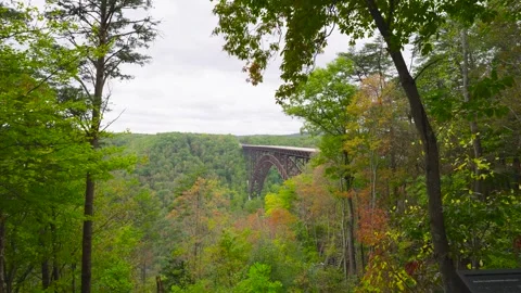 New River Gorge Bridge Stock Footage 305124815