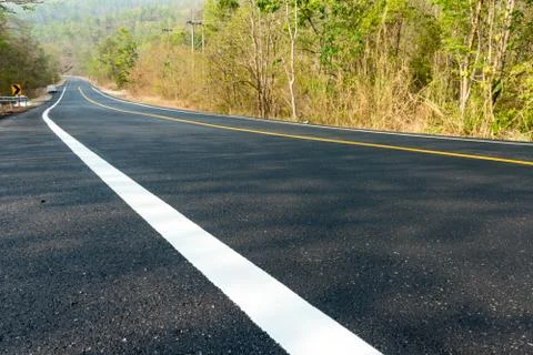 New road in forest Stock-Fotos