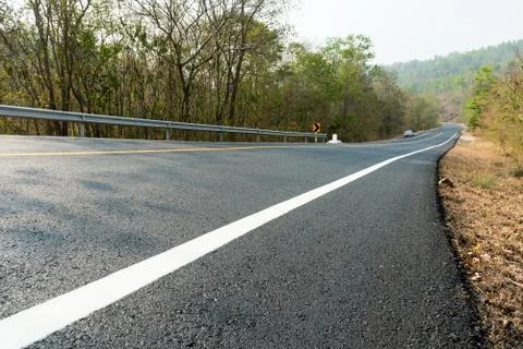 New road in forest 写真素材