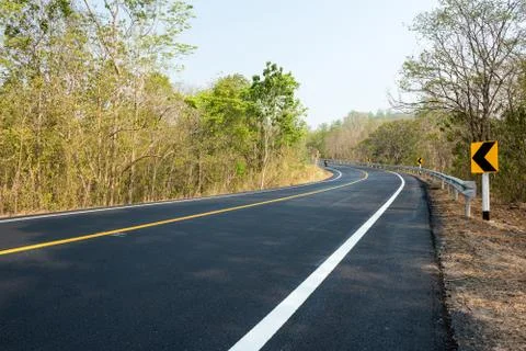 New road in forest Fotos Stock