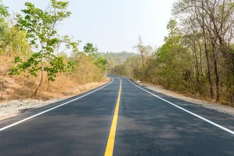 New road in forest Stock Photos