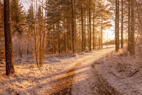 New Snow Stock Photos