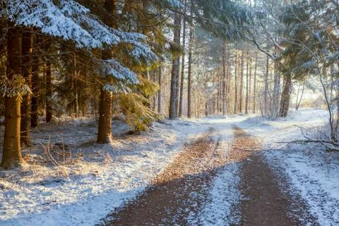 New Snow Stock Photos