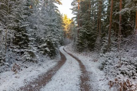 New Snow Stock Photos