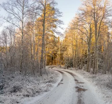 New Snow Stock Photos
