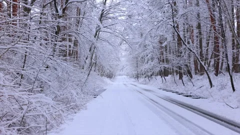 New Snowy Forest and Spring at the Entrance of Prefectural Road 701 Video stock 333209573