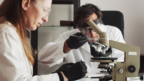 New sources of nutrients and proteins. A man and a woman in white coats are Stock Footage 241666532