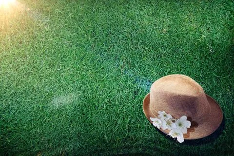 New summer time background Stock Illustration