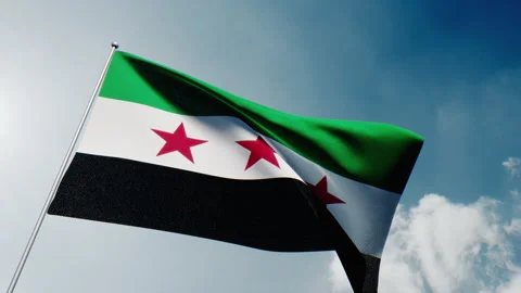 New Syrian Flag Vidéo 296576282