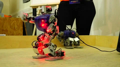 New technologies. Robot. AI. Children playing with robots. Stock Footage 50284728