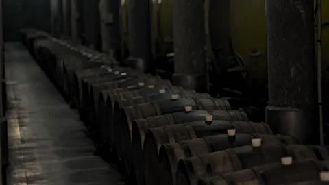 New technology and traditions of winemaking casks and tanks Vídeo Stock 157236401