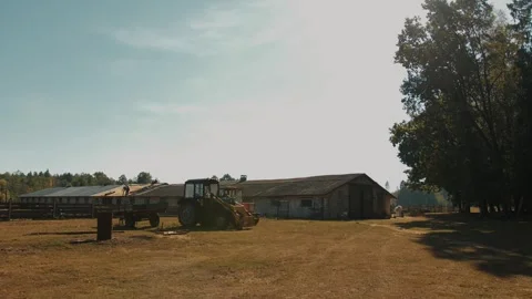 New tractor for farm work and stacks of roofing slates on lawn near huge cattle Video stock 317508495