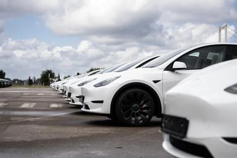 New white Tesla Model Y cars lined up at delivery center, Istanbul Stock Photos