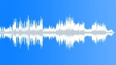 New World Symphony Allegro Con Fuoco Stock Music